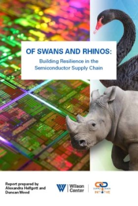 Of Swans and Rhinos Report Cover