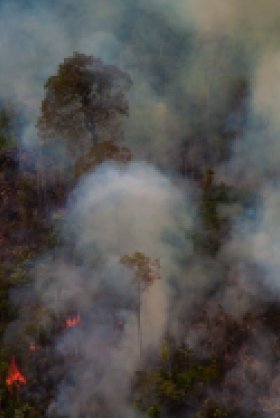 Image  - Fire in the Amazon