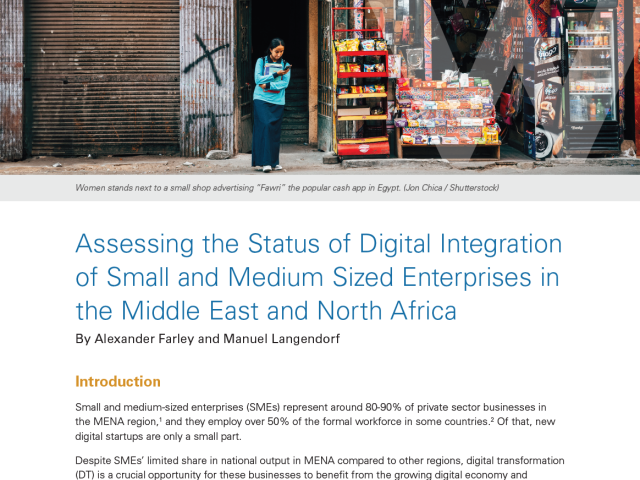 Assessing the Status of Digital Integration