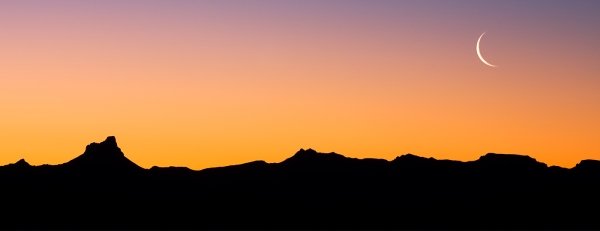 Desert Night Sky