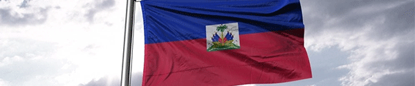 Cropped Haitian Flag