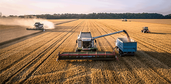 Machines in Wheat Field