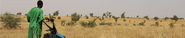 Sahel Farmer