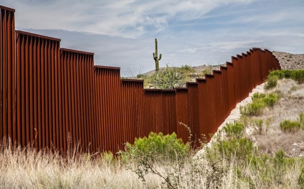 Border fence along Arizona border. A cactus is seen in distance