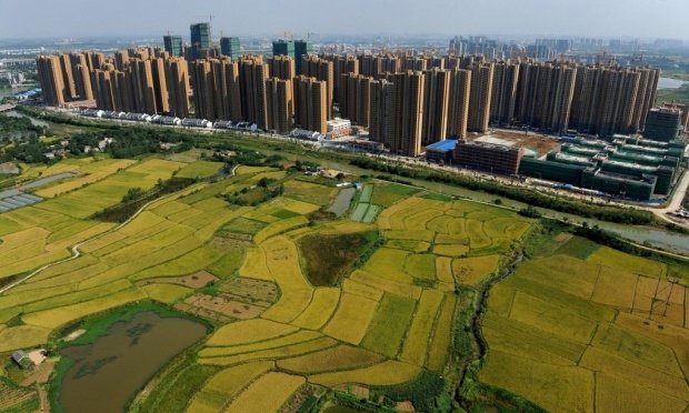 CEF Associate, Susan Chan Shifflett, Interviewed by the Guardian on China’s Food Security and Safety