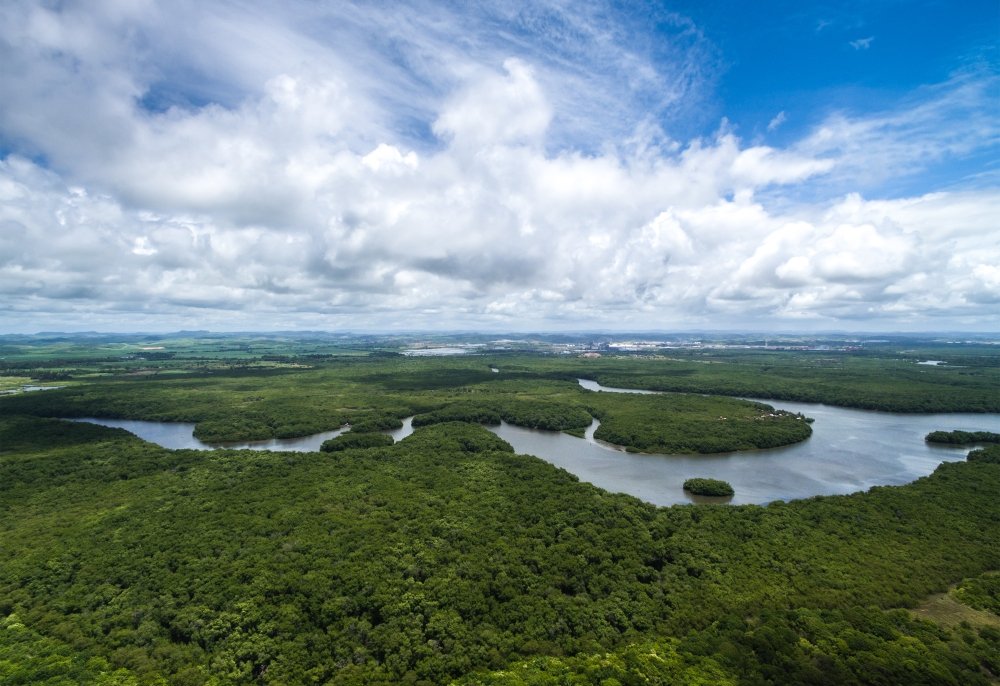 Aerial Photo of the Brazilian Amazon