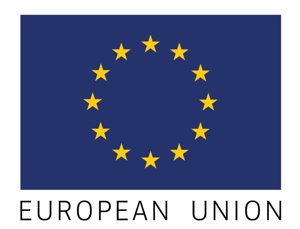 EU Delegation Logo