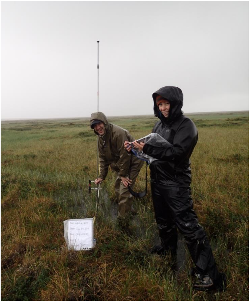 Cataloging vegetation