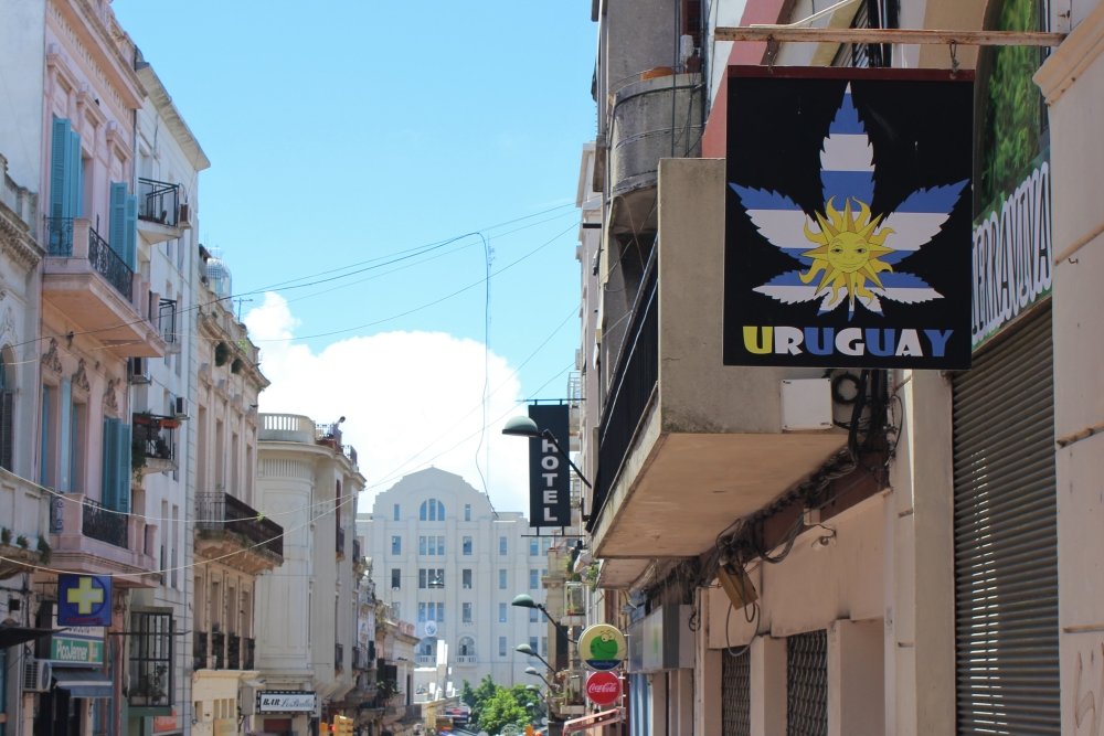 Uruguay's Marijuana Bill Faces Political, Economic Obstacles