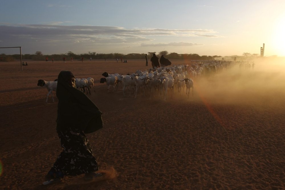 Sandstorm Sahel