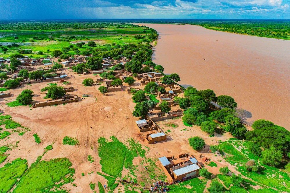 Flooded rice fields in Chad