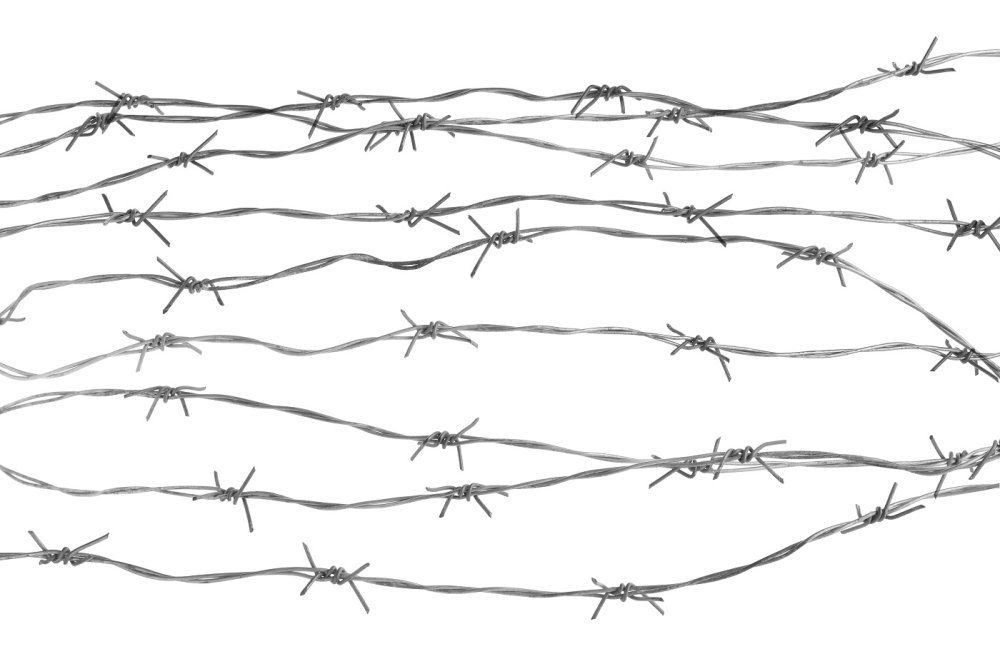 barbed wire