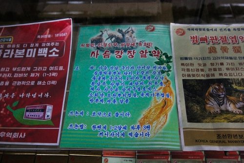 Medical flyers and advertisements in North Korea.