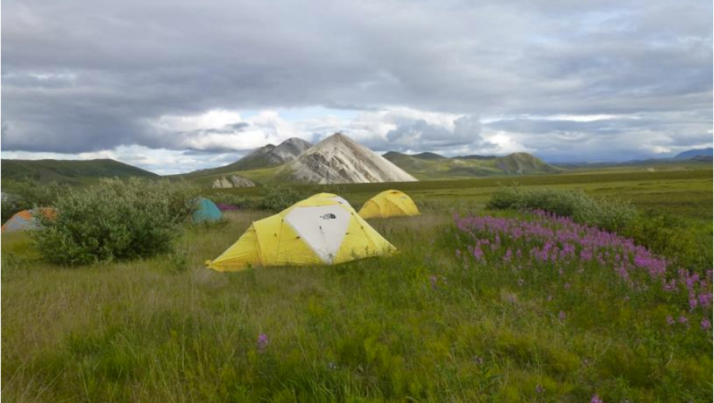 tents in field