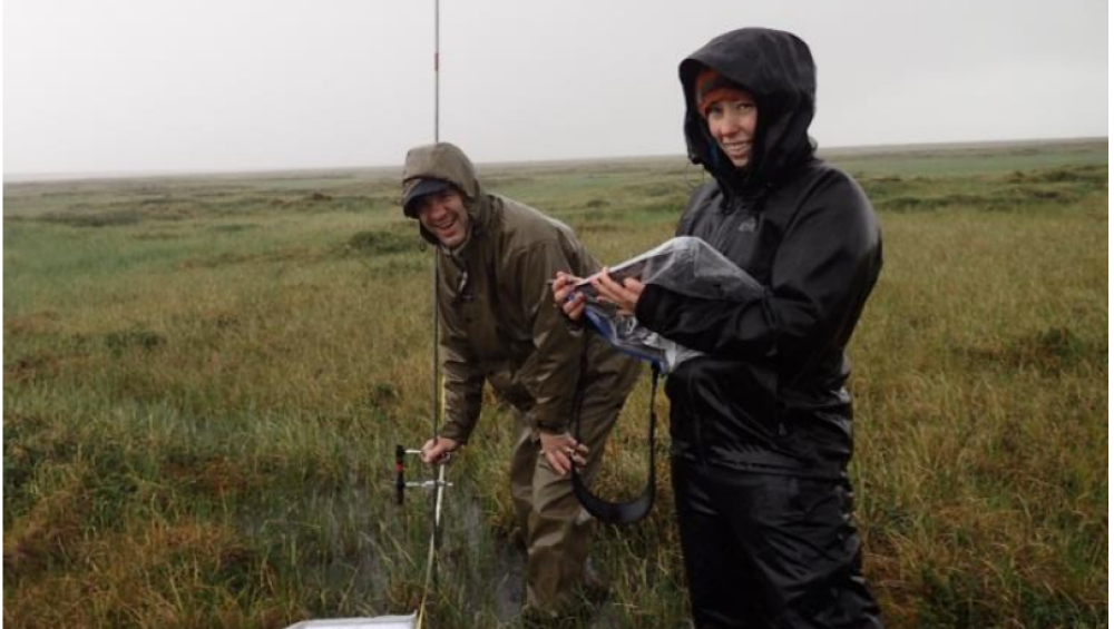 Cataloging vegetation