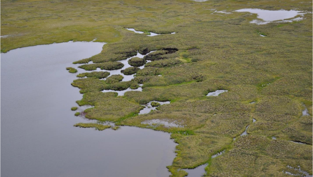 Permafrost degradation