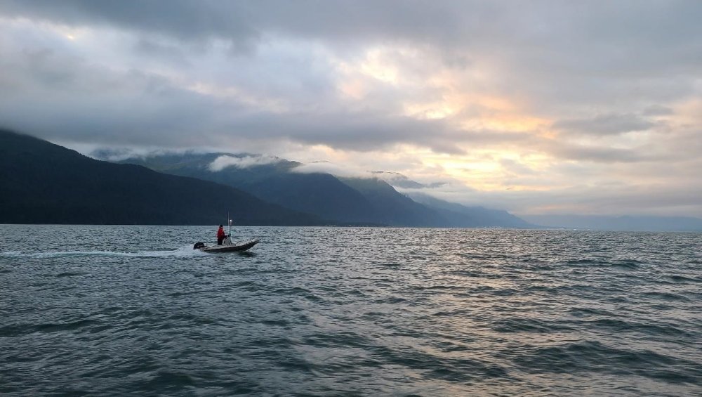 Resurrection Bay