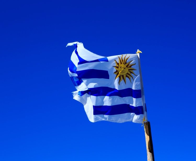 Image - Uruguay flag