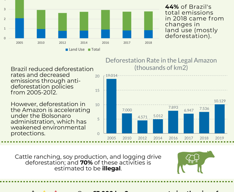 The Paris Agreement and Brazil's Amazon Rainforest Infographic