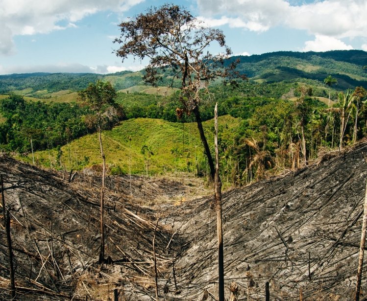 Colombia’s Frontline Environmental Defenders