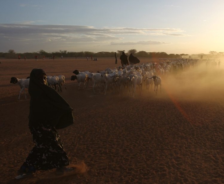 Sandstorm Sahel