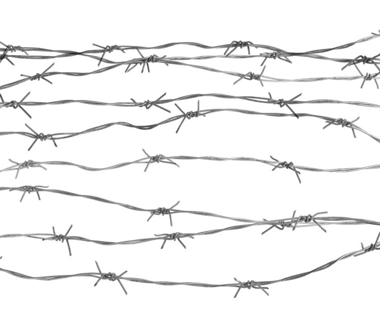 barbed wire