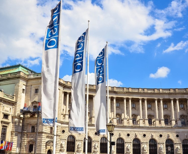 OSCE flags in Vienna