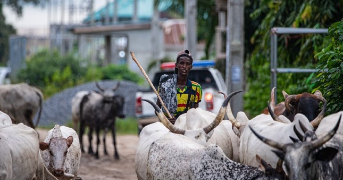 Farmers-Herders Conflicts In Nigeria: A Role For FBOs? | Wilson Center