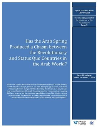 Has the Arab Spring Produced a Chasm between the Revolutionary  and Status Quo Countries in the Arab World?
