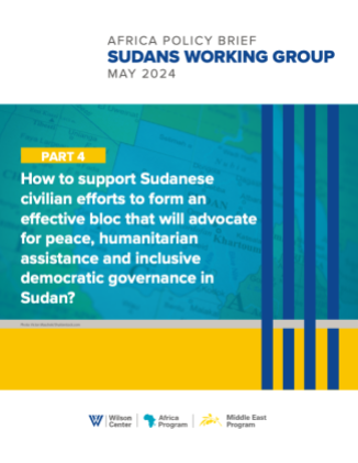 Sudans Working Group Policy Brief: Part 4