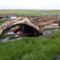 Whale Bone Pile