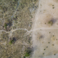 Green and dry land in Senegal