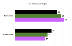 Poll: US Attitudes on Muslims