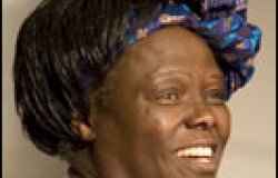 The Challenge for Africa: A Conversation With Wangari Maathai