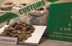 Seized pangolin scales are seen at a Hong Kong Customs & Excise Department press conference at the Kwai Chung Customhouse Cargo Examination Compound, Kwai Chung, Kowloon, Hong Kong, China