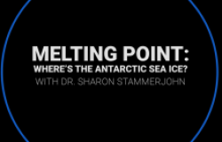 Antarctic Sea Ice Video title image