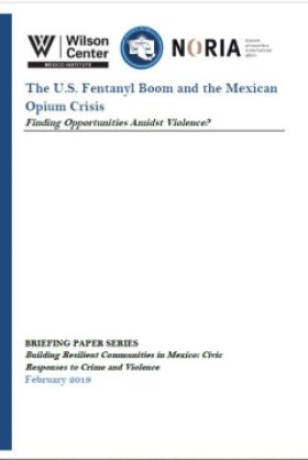 The U.S. Fentanyl Boom and the Mexican Opium Crisis: Finding Opportunities Amidst Violence?
