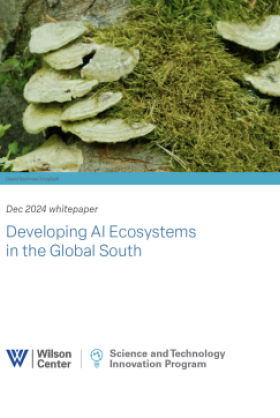 Developing AI Ecosystems in the Global South_Cover Page